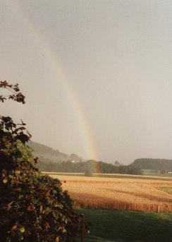 Arc-en-ciel sur la campagne meusienne